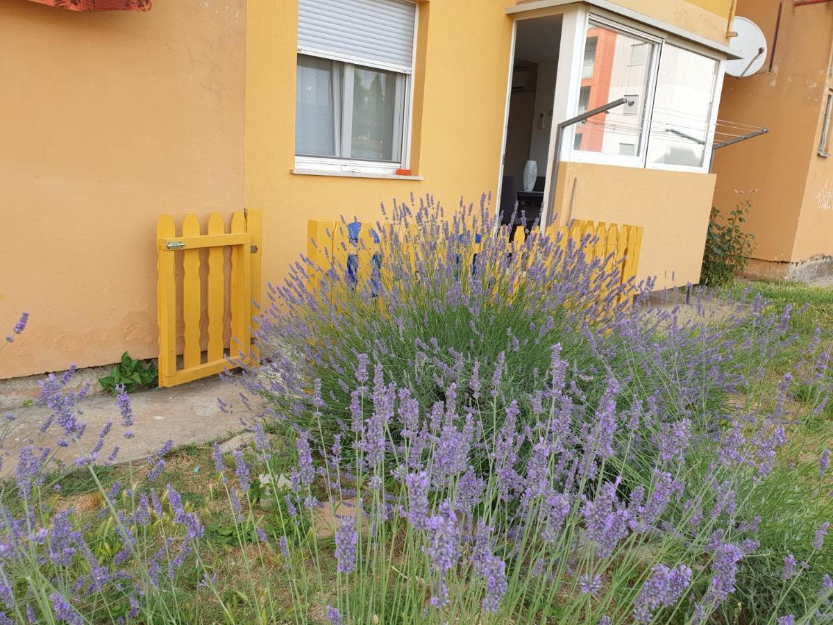 Lav Apartment Rovinj Bagian luar foto
